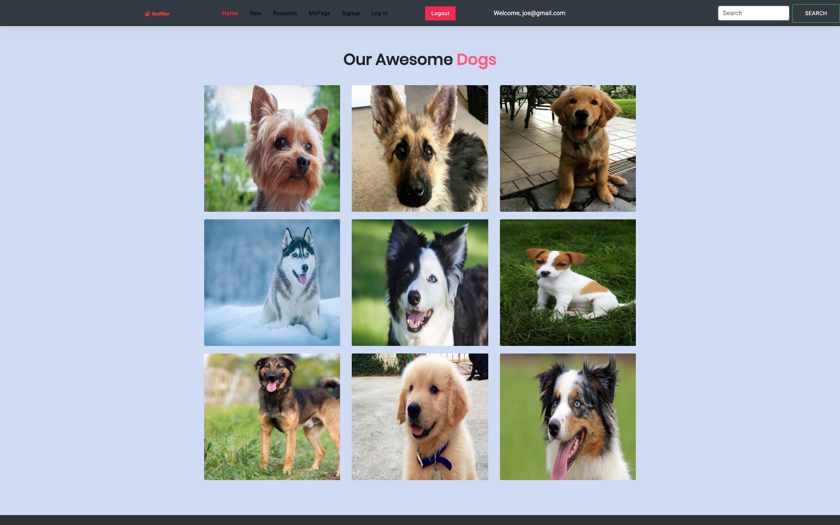 Sniffer web interface showing a dog-photo grid, dark navigation bar, and search controls